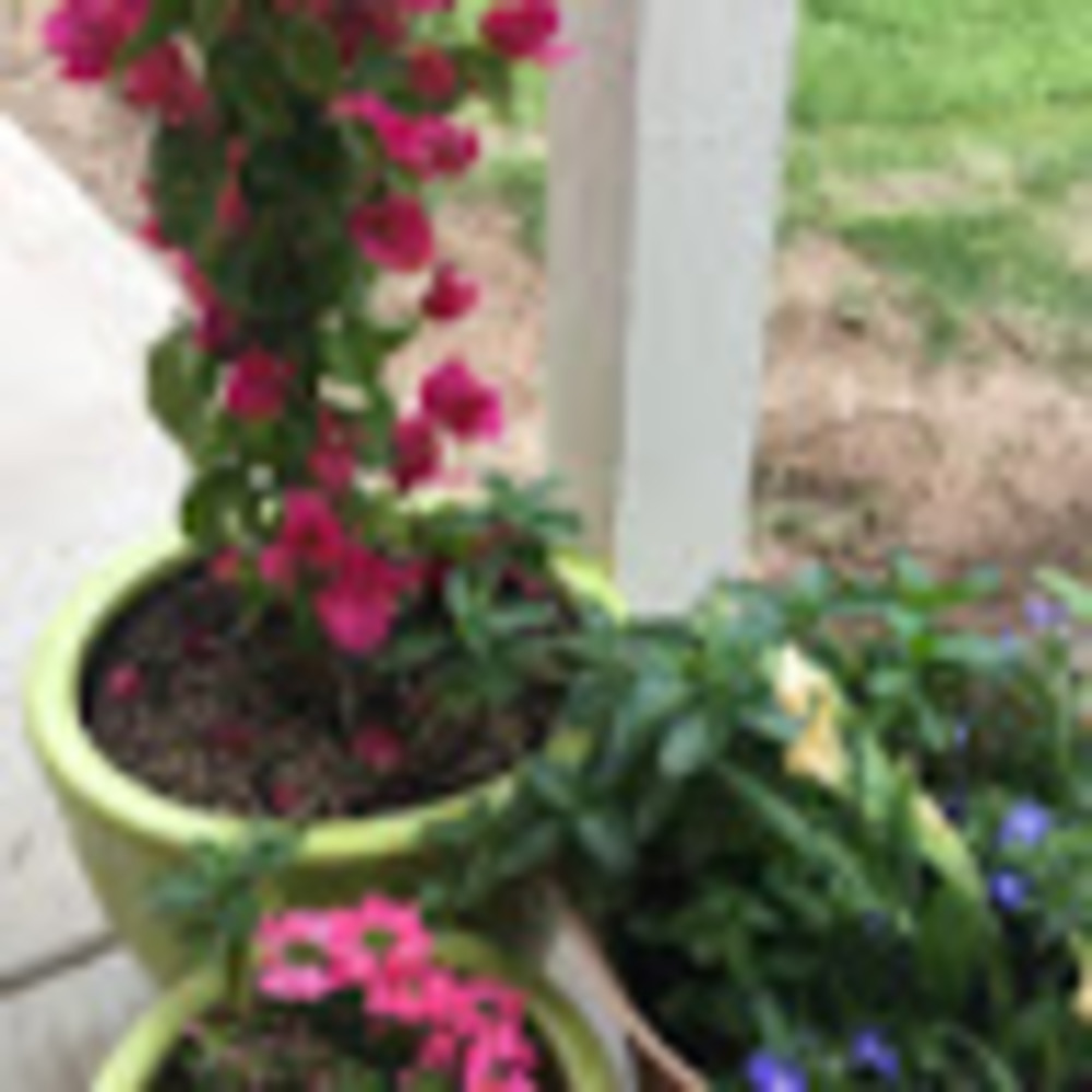 Meet your Posher, Keri